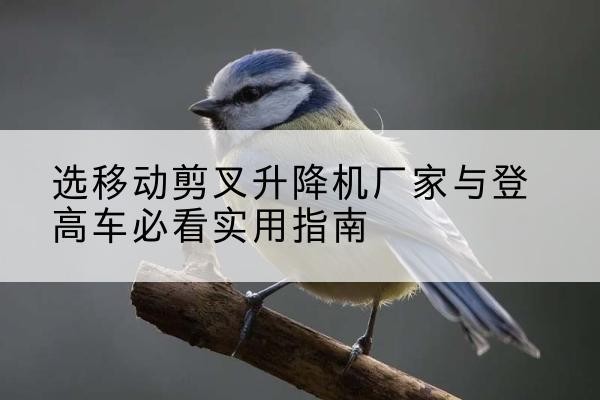苍南电动升降机厂家-选移动剪叉升降机厂家与登高车必看实用指南