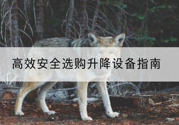 苍南升降货梯厂家推荐-*安全选购升降设备指南