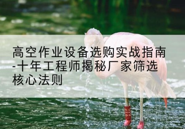 苍南剪叉式升降机厂家-高空作业设备选购实战指南-十年工程师揭秘厂家筛选核心法则